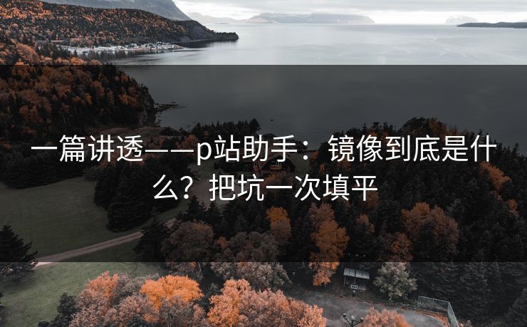 一篇讲透——p站助手：镜像到底是什么？把坑一次填平