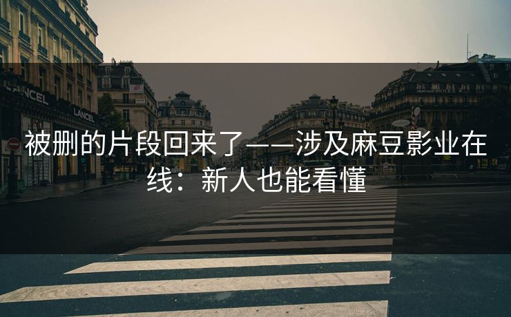 被删的片段回来了——涉及麻豆影业在线：新人也能看懂