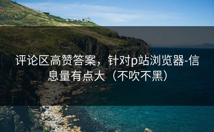 评论区高赞答案，针对p站浏览器-信息量有点大（不吹不黑）