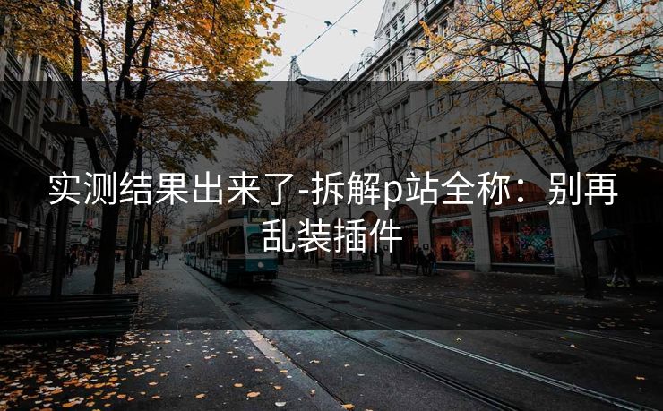 实测结果出来了-拆解p站全称：别再乱装插件