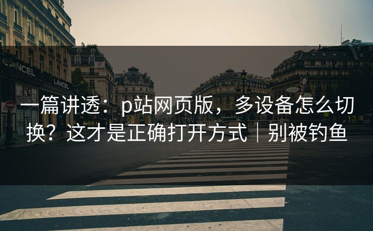 一篇讲透：p站网页版，多设备怎么切换？这才是正确打开方式｜别被钓鱼