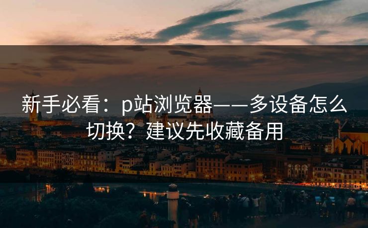 新手必看：p站浏览器——多设备怎么切换？建议先收藏备用