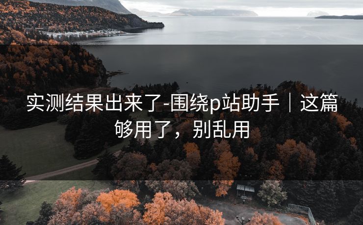 实测结果出来了-围绕p站助手｜这篇够用了，别乱用