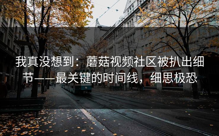 我真没想到:蘑菇视频社区被扒出细节——最关键的时间线,细思极恐 我真没想到:蘑菇视频社区被扒出细节——最关键的时间线,细思极恐