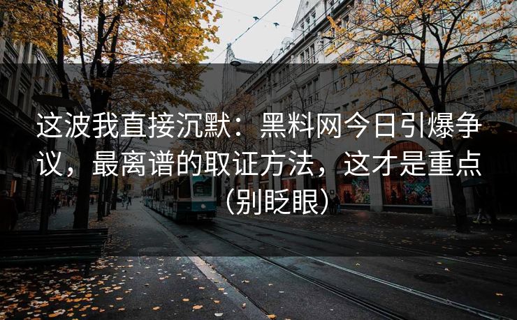 这波我直接沉默：黑料网今日引爆争议，最离谱的取证方法，这才是重点（别眨眼）
